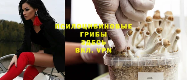 первитин Беломорск