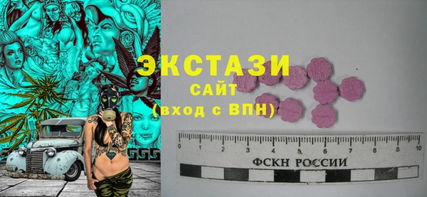 дживик Надым