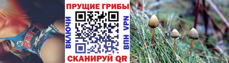 Галлюциногенные грибы MAGIC MUSHROOMS  Рудня 